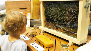 Bercy Village lance le Festival Nature Urbaine