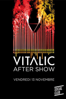 Vitalic After show