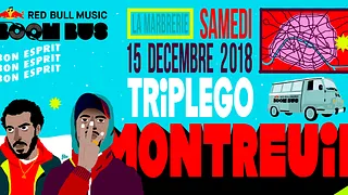 Montreuil par Triplego