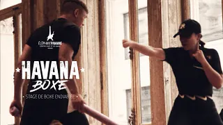 HAVANA BOXE