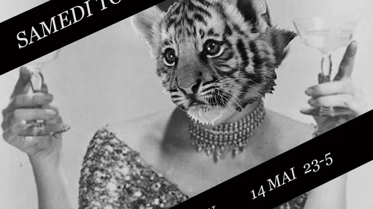 SAMEDI TOUT EST PERMIS