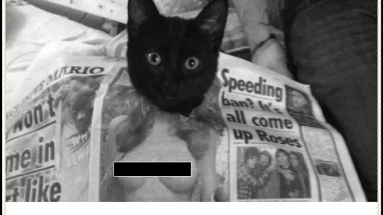 Le Minou au Chacha