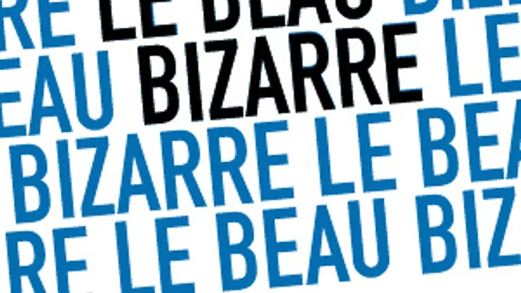 Le beau Bizarre Sound System
