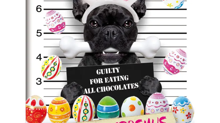 EASTER PARTY