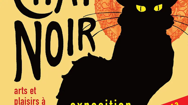 Autour Du Chat Noir