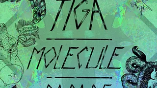 VOODOO : Tiga, Molecule, Parade