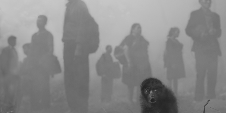 Expostion "The Day May Break : Chapitre 2" - Nick Brandt