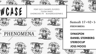 PHENOMENA : SYNAPSON invite DANIEL STEINBERG/STEREOCLIP/JOSS MOOG