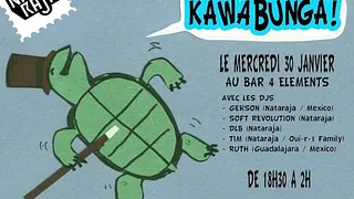 Kawabunga