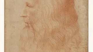 Exposition Léonard de Vinci, Il Genio