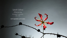 Satoshi Saïkusa - À Perte de Vue VERNISSAGE