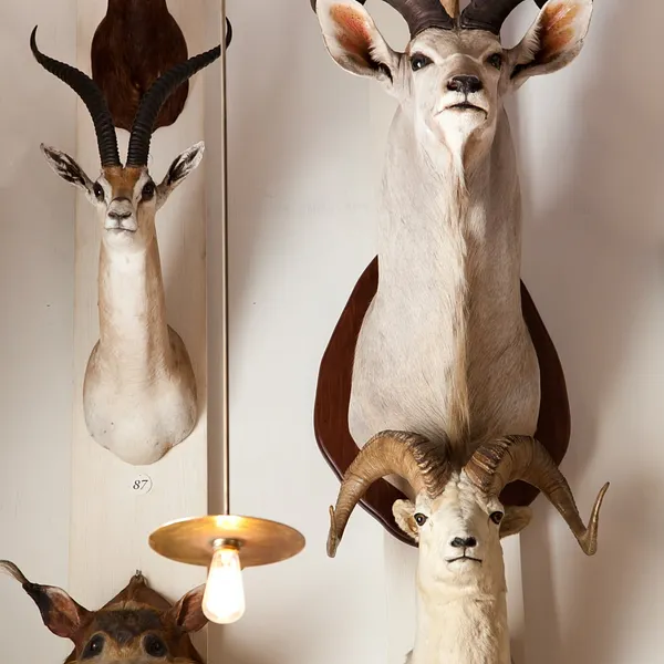 Musée de la Chasse et de la Nature