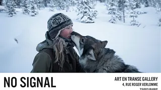 No Signal