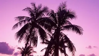 Bambossa