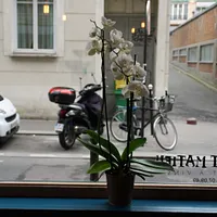 Le Petit Matieu
