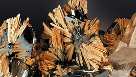 Trésors de la Terre