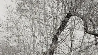 Dernières acquisitions du Comité pour la Photographie