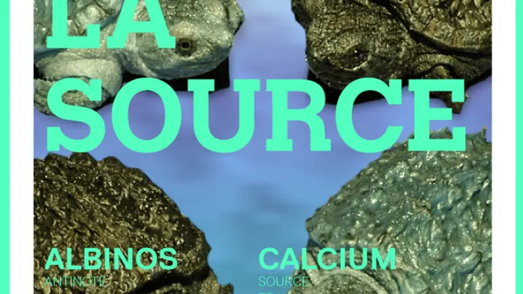 La Source avec Albinos live, Kohd, Calcium