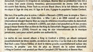Beenie Man & Zagga Zow Band (Premières parties: J Boog, Soul Stereo alongside Spyda team)