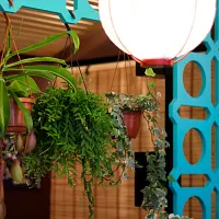 Cho Cantine