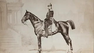 Voilà les Delton