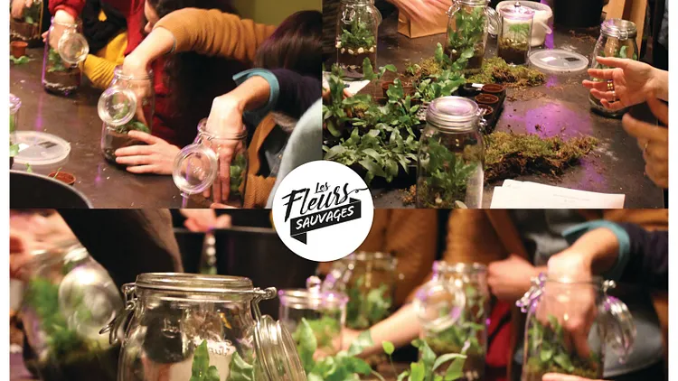 DIY : Fabrication d'un Terrarium