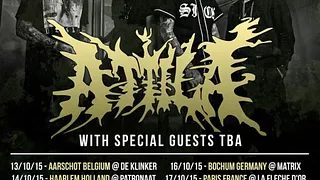 Attila en concert !