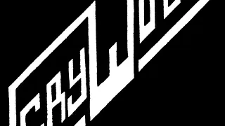VERWESUNG N°4 CRY WOLF CONCERT LIVE