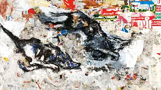 Les Années Indiennes 2000 - 2010 / Fred Kleinberg