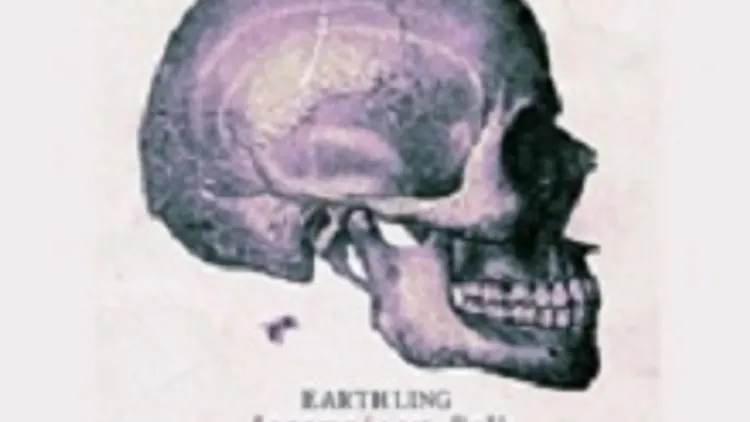 EARTHLING + Mekanik Kantatik