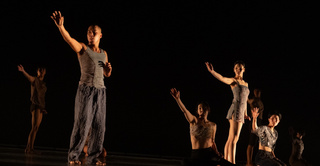 « Jungle » Spectacle de la Korea National Contemporary Dance Company