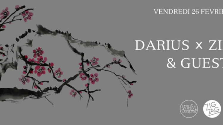Darius & Zimmer