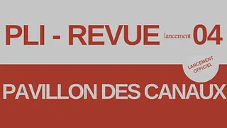 Lancement de Pli 04 au Pavillon des Canaux + Salon de l'illu.