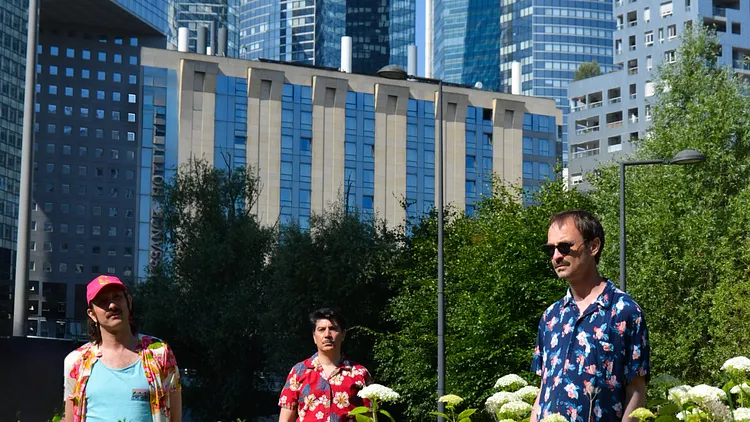 Moustache Island