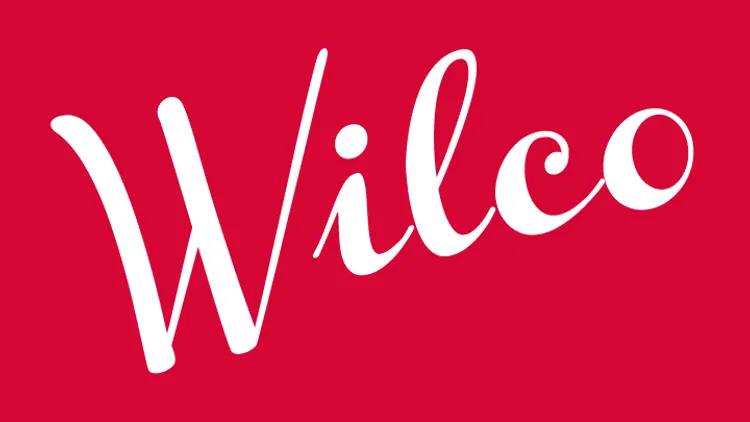Wilco en concert