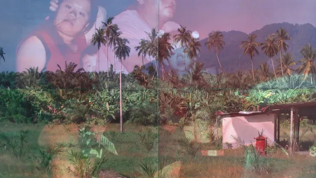 The Plantation Plot