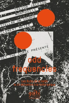 Odd Frequencies