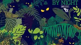Jungle by night + The Afrorockerz / black summer festival 2015