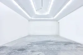 Galerie Almine Rech