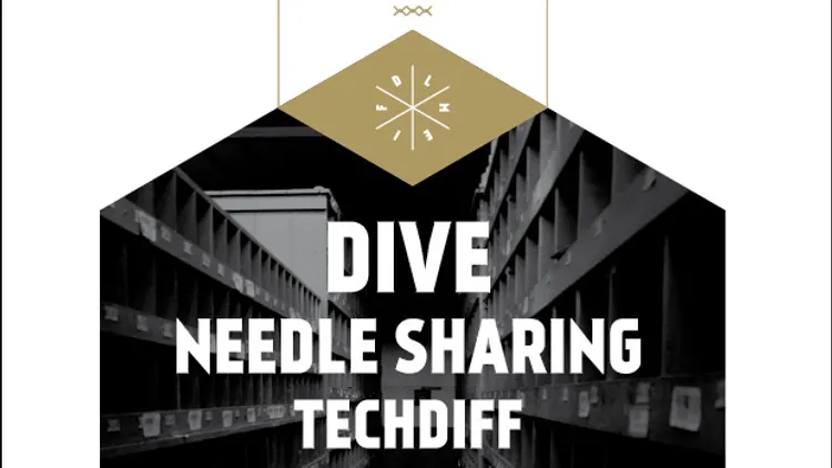 Fest Musique Electro Industrielle : Dive + Needle Sharing + Techdiff + Oyaarss +2Kilos&More