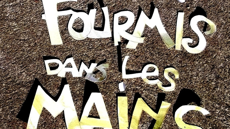 Des Fourmis Dans les Mains