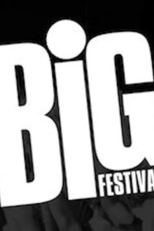 Big Festival 2015