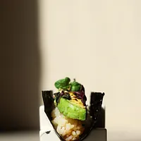 Nobisan