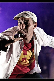 HK & Les Saltimbanks en concert