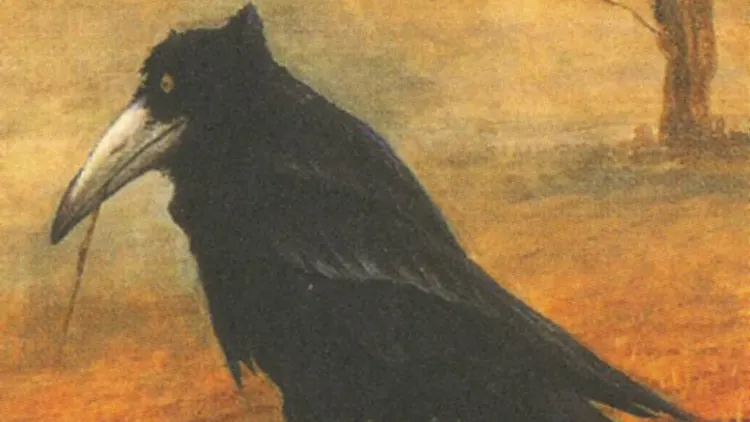 Le corbeau vient le dernier