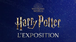 Harry Potter™