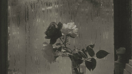 Josef Sudek Le monde à ma fenêtre