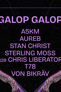 GALOP GALOP X INFRASON X KM25 : T78, STAN CHRIST & MORE - Kilomètre 25 - vendredi 24 mai