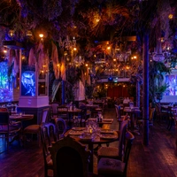 Jungle Palace