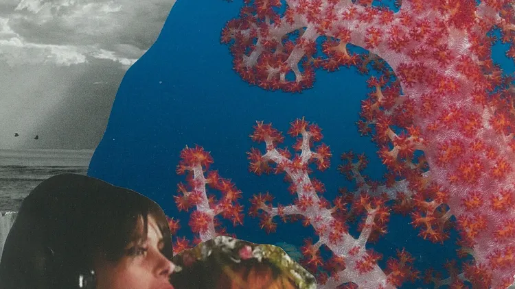 Atelier collage papier